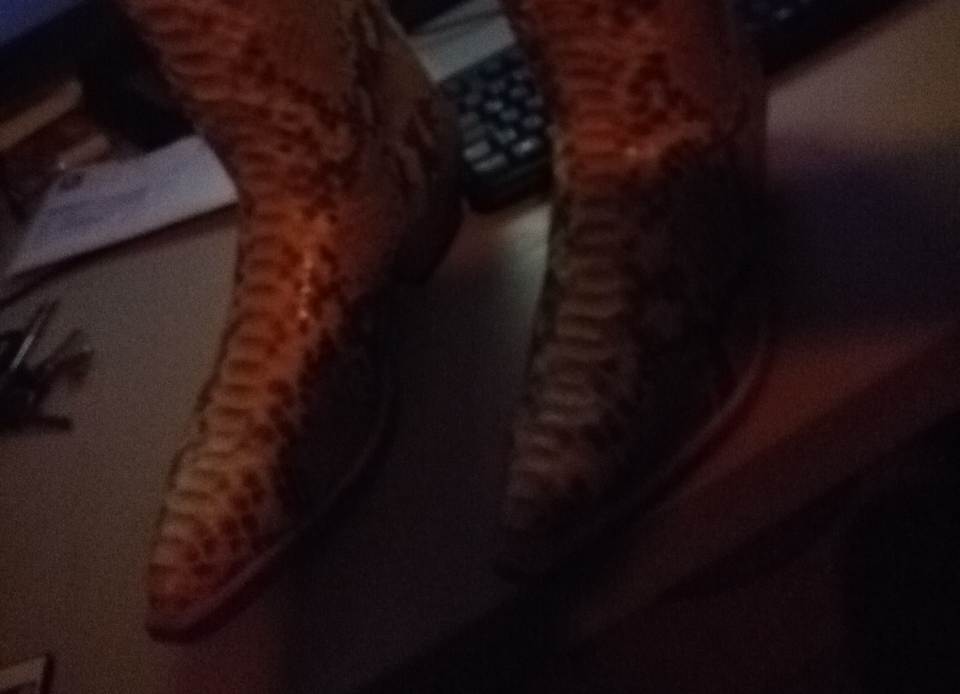 Python Boots